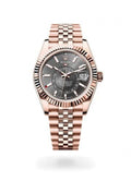 rOlEx skydweller automatic Watch